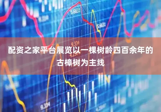 配资之家平台展览以一棵树龄四百余年的古樟树为主线