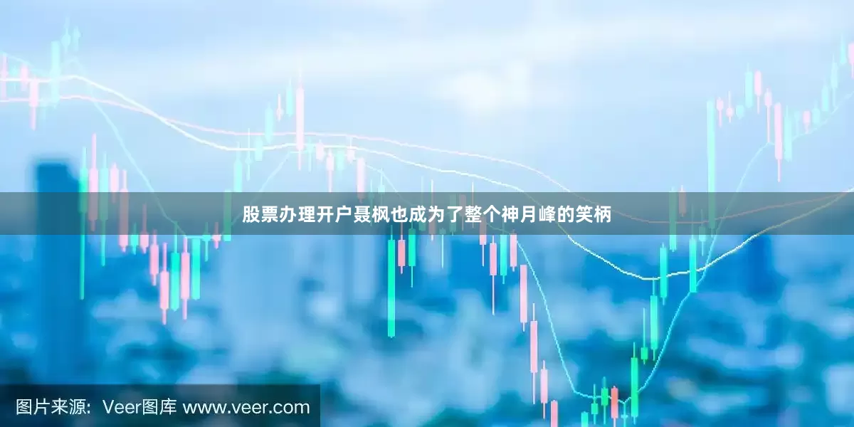股票办理开户聂枫也成为了整个神月峰的笑柄