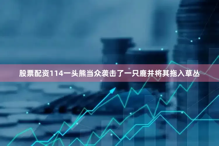 股票配资114一头熊当众袭击了一只鹿并将其拖入草丛