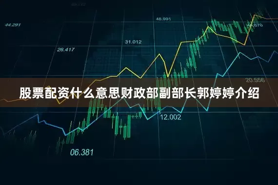 股票配资什么意思　　财政部副部长郭婷婷介绍